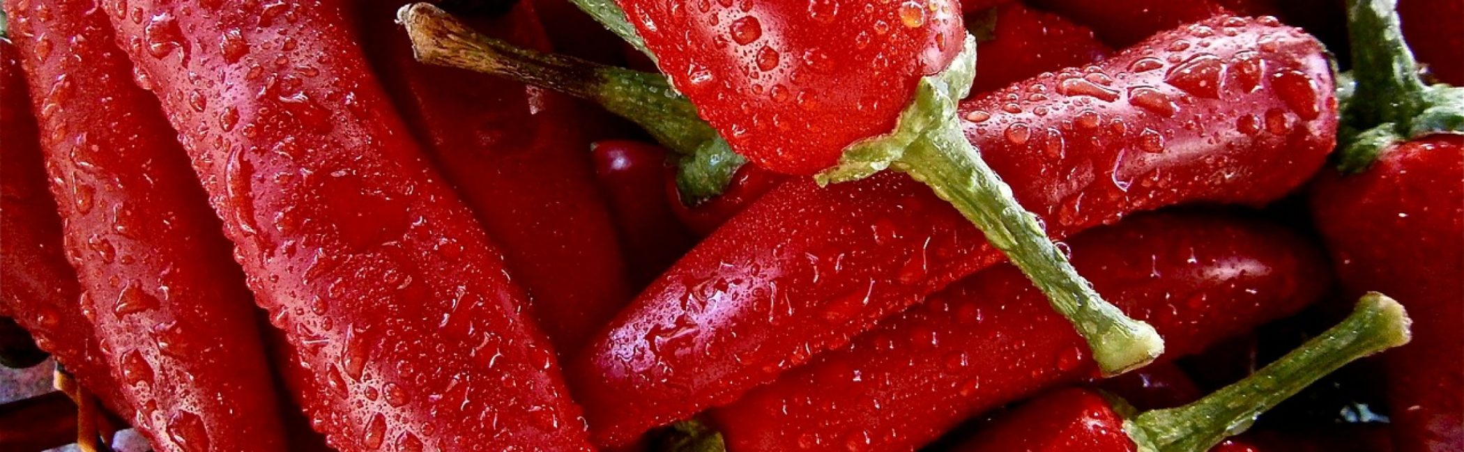 Chili Cookoff Winner