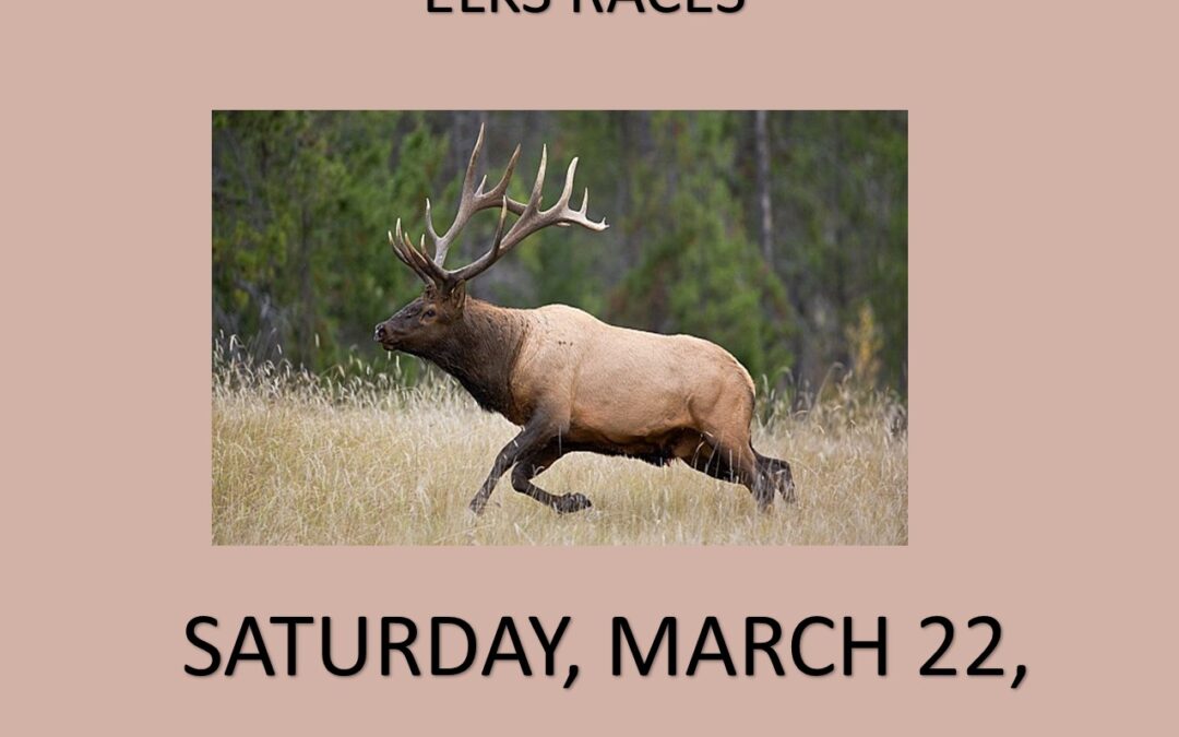 Hoquiam – Elk Races