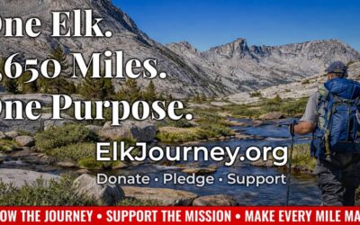 Washington Elk Takes on the Pacific Crest Trail — and He Needs Your Support
